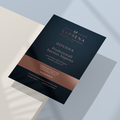 Profesionali burnos higiena